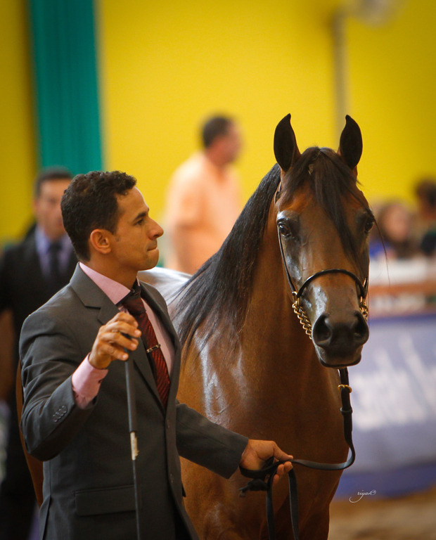 2013 Brazilian Nationals