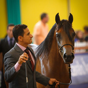 2013 Brazilian Nationals