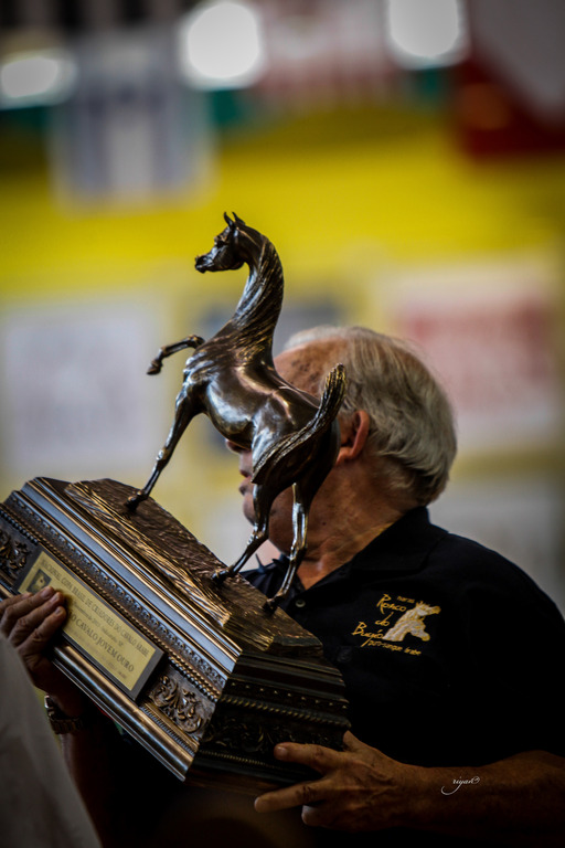 2013 Brazilian Nationals