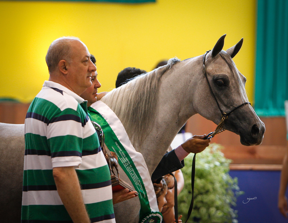 2013 Brazilian Nationals