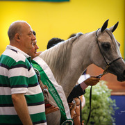 2013 Brazilian Nationals