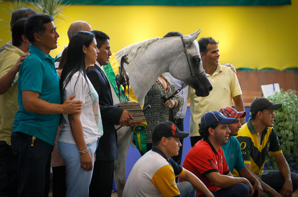 2013 Brazilian Nationals