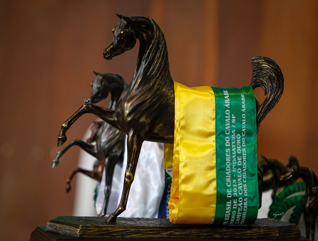 2013 Brazilian Nationals