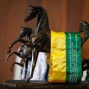 2013 Brazilian Nationals