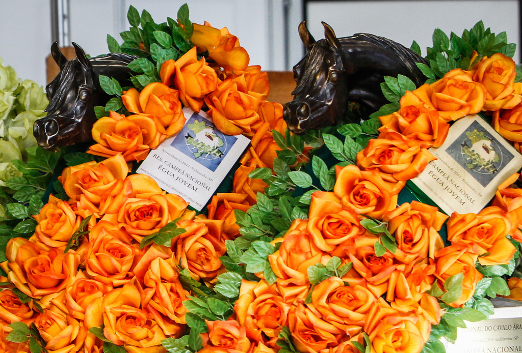 2013 Brazilian Nationals