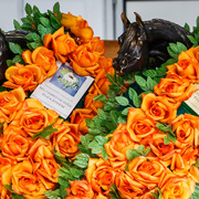 2013 Brazilian Nationals