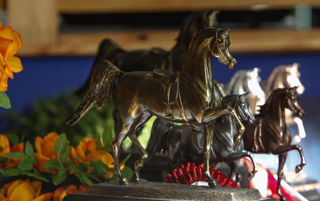 2013 Brazilian Nationals