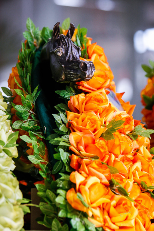 2013 Brazilian Nationals