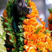 2013 Brazilian Nationals