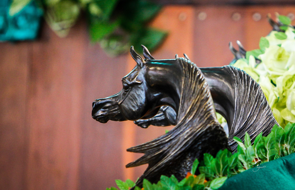 2013 Brazilian Nationals