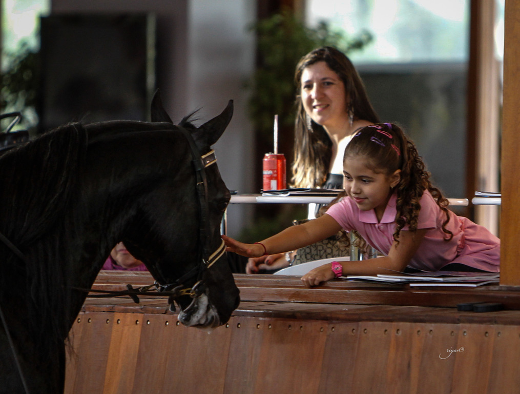 2013 Brazilian Nationals