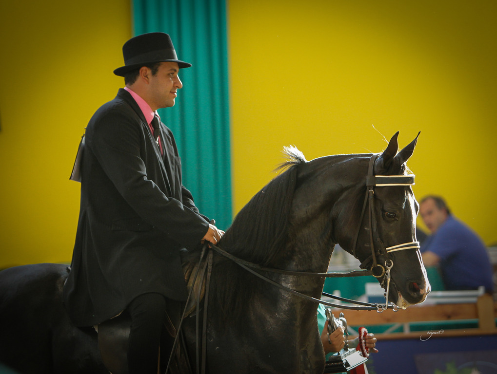 2013 Brazilian Nationals