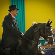 2013 Brazilian Nationals