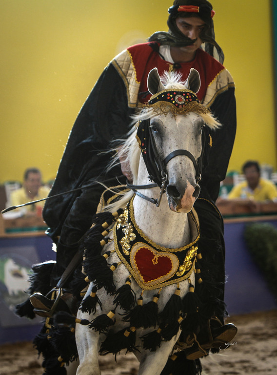 2013 Brazilian Nationals