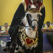 2013 Brazilian Nationals