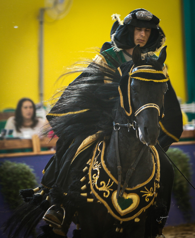 2013 Brazilian Nationals