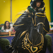 2013 Brazilian Nationals