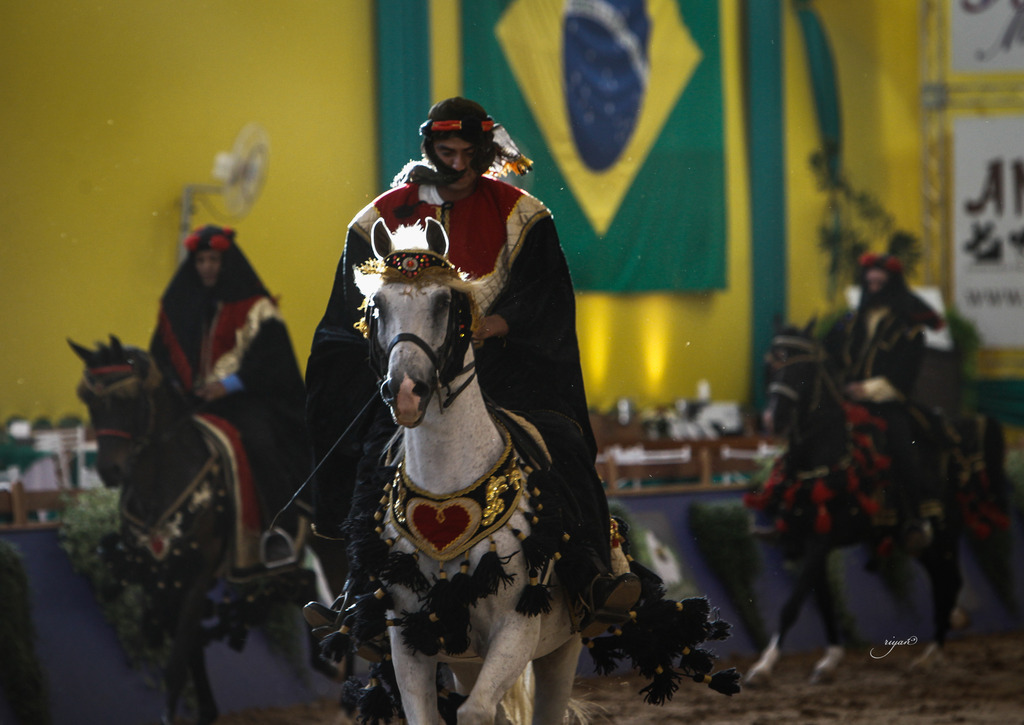 2013 Brazilian Nationals