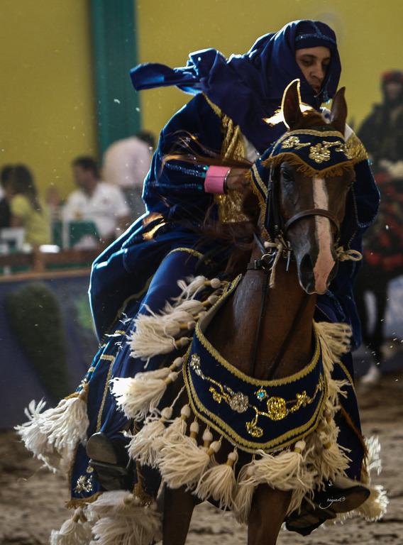 2013 Brazilian Nationals