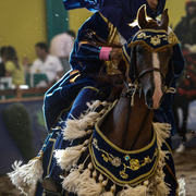 2013 Brazilian Nationals