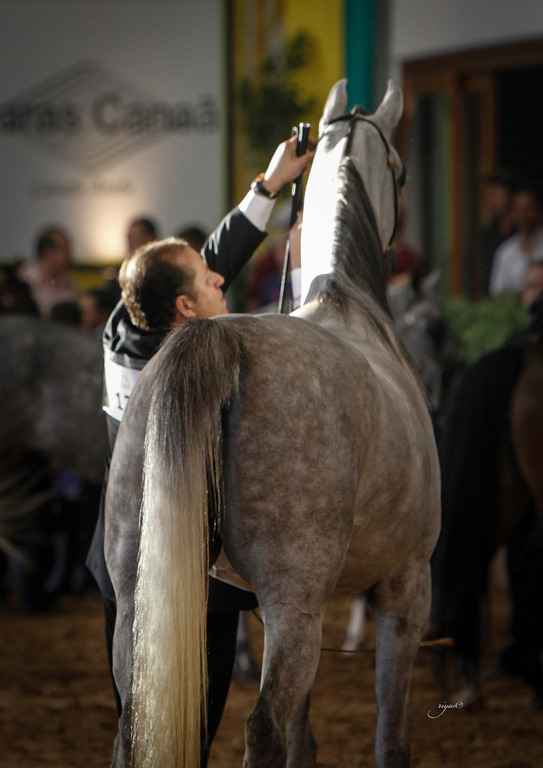 2013 Brazilian Nationals