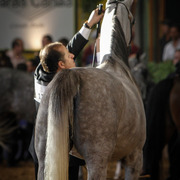 2013 Brazilian Nationals