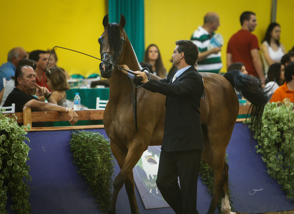 2013 Brazilian Nationals