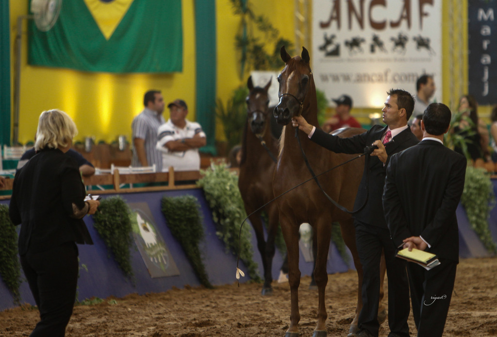2013 Brazilian Nationals