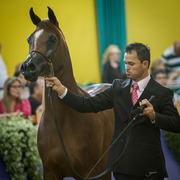 2013 Brazilian Nationals