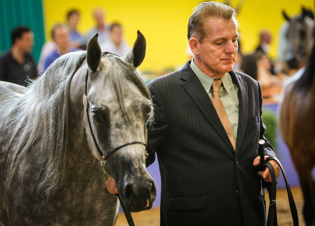2013 Brazilian Nationals