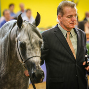 2013 Brazilian Nationals