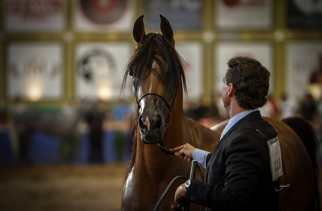 2013 Brazilian Nationals