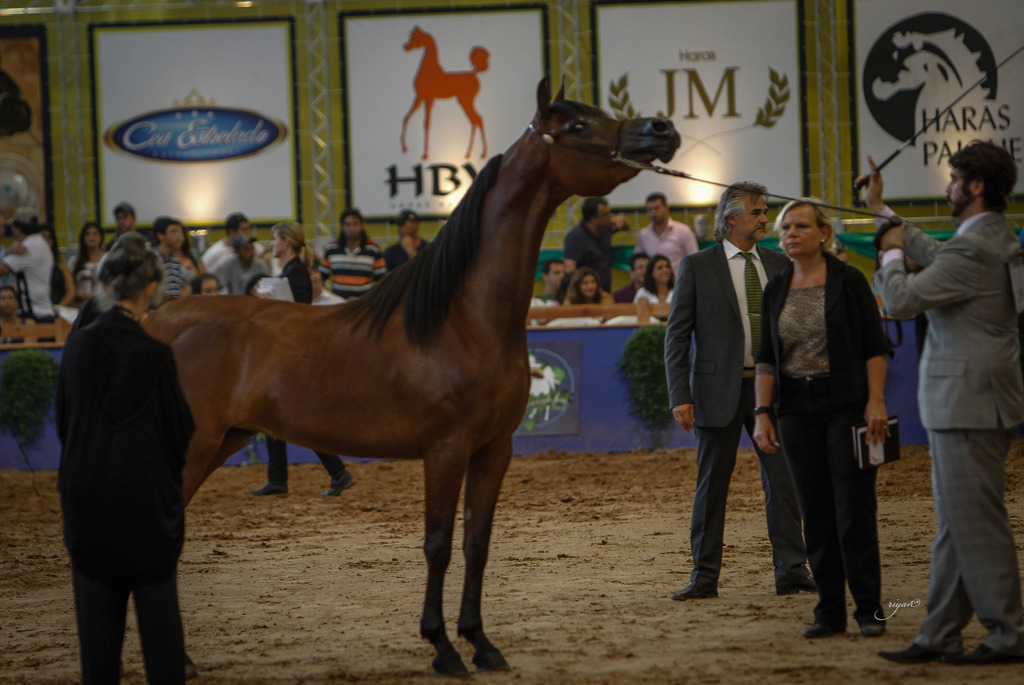 2013 Brazilian Nationals