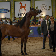 2013 Brazilian Nationals