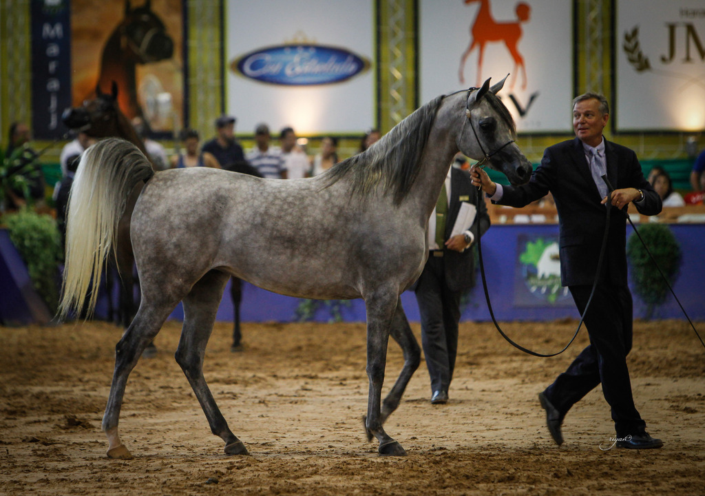 2013 Brazilian Nationals