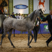 2013 Brazilian Nationals
