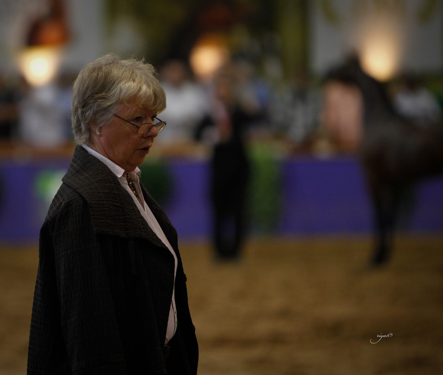 2013 Brazilian Nationals