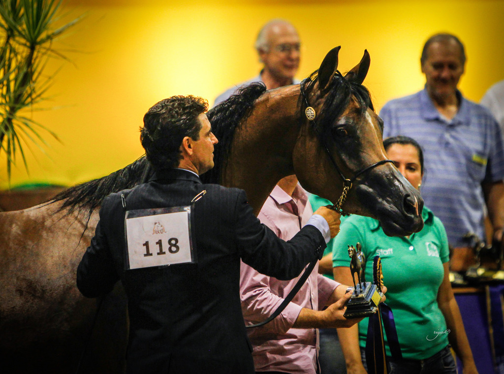 2013 Brazilian Nationals