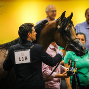 2013 Brazilian Nationals