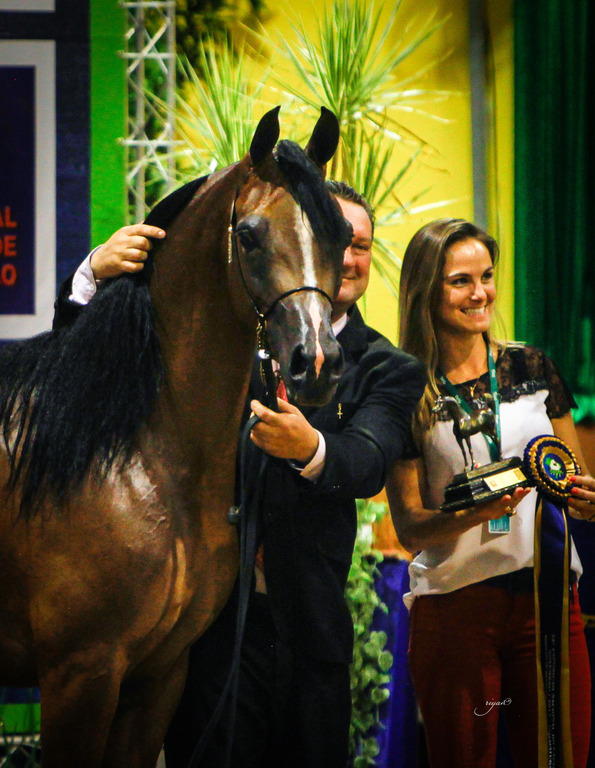 2013 Brazilian Nationals