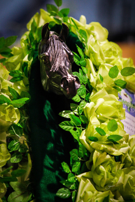 2013 Brazilian Nationals