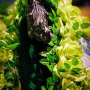 2013 Brazilian Nationals