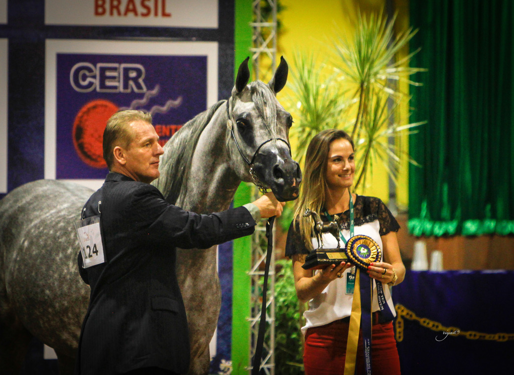 2013 Brazilian Nationals