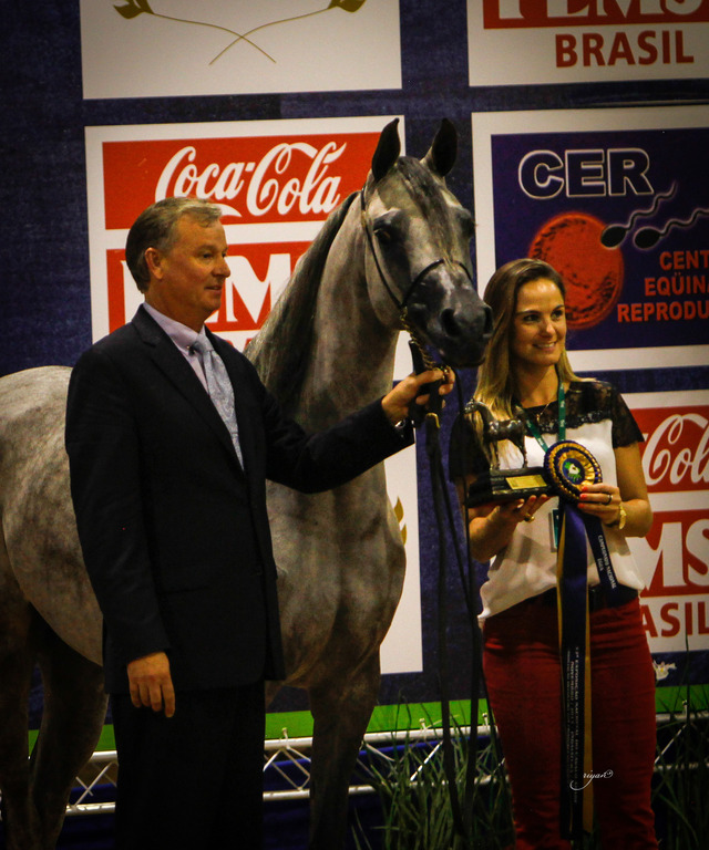 2013 Brazilian Nationals