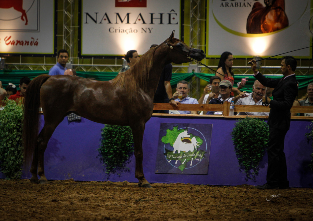 2013 Brazilian Nationals