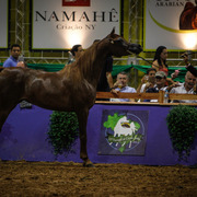 2013 Brazilian Nationals