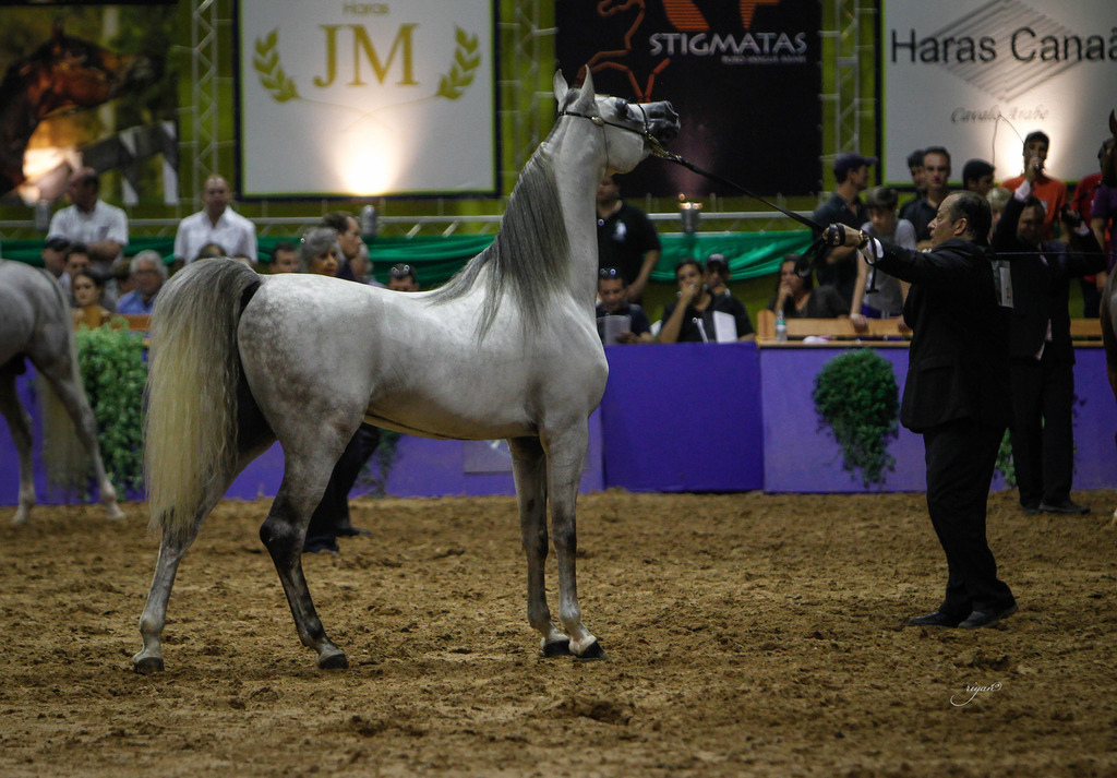 2013 Brazilian Nationals