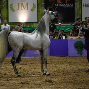 2013 Brazilian Nationals