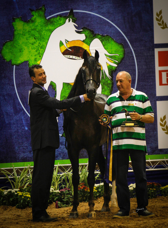 2013 Brazilian Nationals