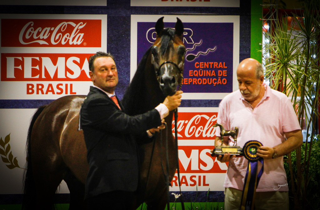 2013 Brazilian Nationals